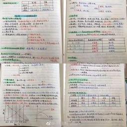 人體解剖學(xué)基礎(chǔ)知識筆記,鋼琴基礎(chǔ)知識筆記,pr基礎(chǔ)知識筆記