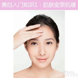 皮膚美白的基礎(chǔ)知識