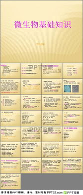 藥品微生物基礎(chǔ)知識試題