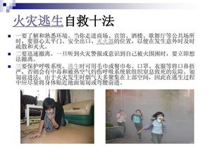 消防基礎(chǔ)知識講座word