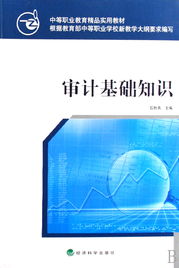 公安審計(jì)基礎(chǔ)知識(shí)