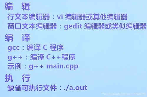 c最基礎(chǔ)知識