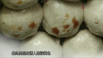 瘋哥談新疆和田玉基礎(chǔ)知識