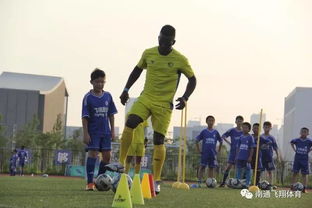 足球基礎(chǔ)知識(shí)英語(yǔ)