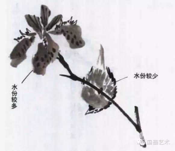 寫意畫鳥基礎(chǔ)知識