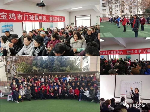 中國(guó)門球基礎(chǔ)知識(shí)