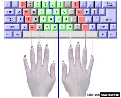 學(xué)鍵盤打字最基礎(chǔ)知識(shí)