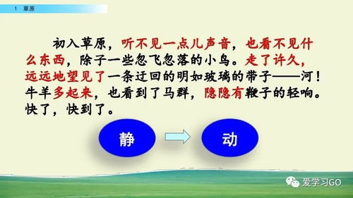 體育與健康基礎知識微課,口風琴的基礎知識,樂譜基礎知識口風琴