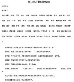 基礎知識,語文,初二下