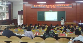 要有,扎實(shí),基礎(chǔ)知識(shí),教師