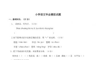 小學(xué)畢業(yè)語文基礎(chǔ)知識試卷