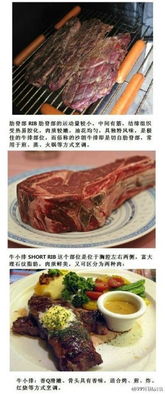 基礎(chǔ)牛排知識