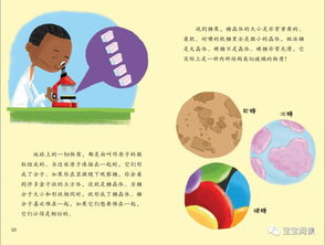 如何打好科學基礎知識