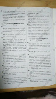 中考語文基礎(chǔ)知識(shí)與古詩(shī)文答案