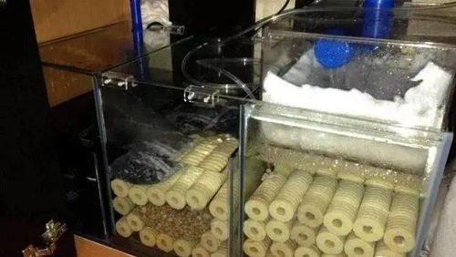 養(yǎng)魚基礎(chǔ)知識(shí)過濾系統(tǒng)濾材