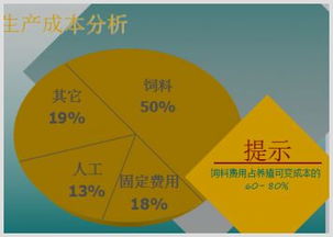 基礎(chǔ)知識,營養(yǎng)