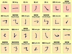 筆順,基礎知識,規(guī)則