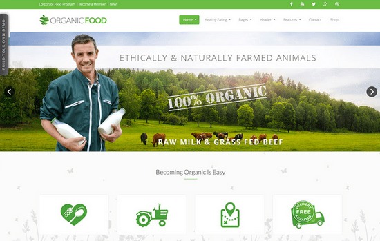 色彩基礎(chǔ)知識的心得體會