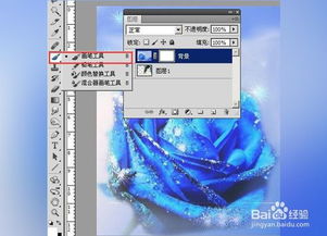 圖層,基礎(chǔ)知識,ps