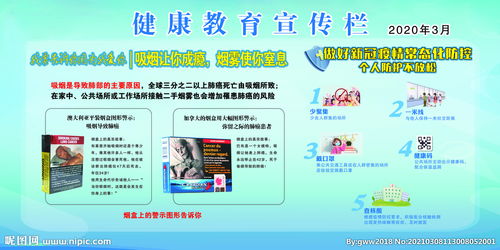 健康基礎(chǔ)知識宣傳