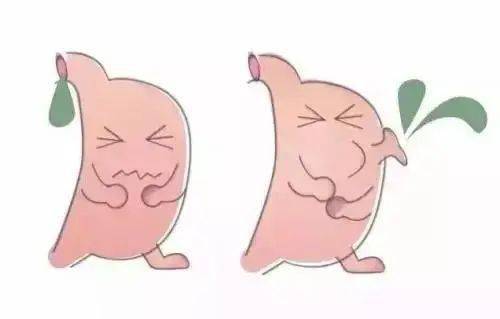 胃腸炎,基礎(chǔ)知識