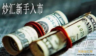 個(gè)人首次炒外匯的基礎(chǔ)知識(shí)