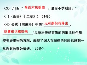 中考基礎(chǔ)知識(shí)ppt