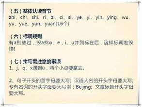 小學(xué)語文基礎(chǔ)知識能力提高