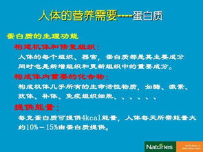 營養(yǎng)學的基礎知識,運動營養(yǎng)學基礎知識,健身營養(yǎng)學基礎知識