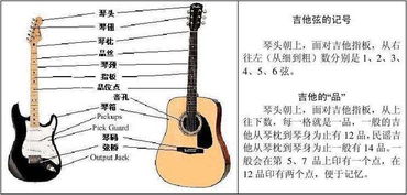 吉他弦基礎(chǔ)知識(shí)