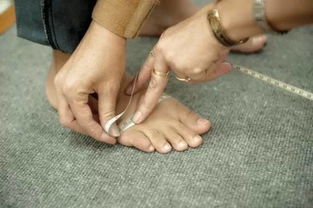 ecco的基礎(chǔ)知識