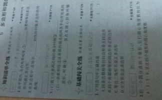 知識清單基礎(chǔ)闖關(guān)創(chuàng)新提升中考全練