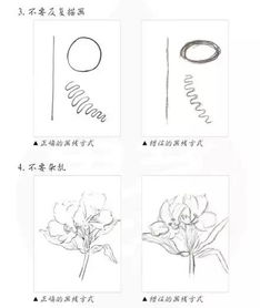 手繪,基礎(chǔ)知識(shí),入門(mén),cad