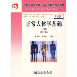 正常人體學(xué)基礎(chǔ)重點(diǎn)知識(shí)