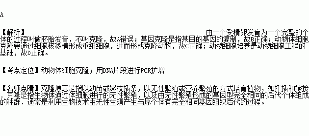 動(dòng)物的克隆基礎(chǔ)知識(shí)