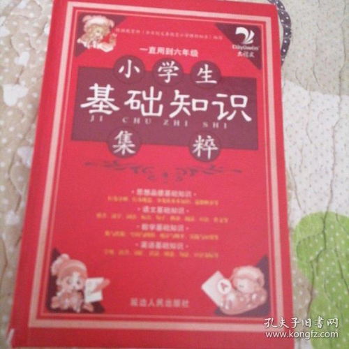 小學(xué)生隊(duì)員基礎(chǔ)知識(shí)