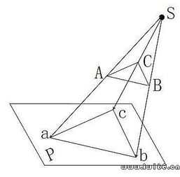 基礎(chǔ)知識,投影