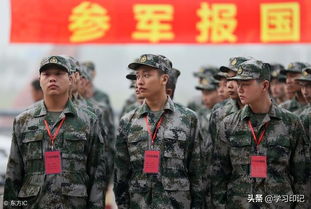 軍校海防基礎(chǔ)知識(shí)