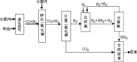 靈活運用基礎(chǔ)知識的能力差
