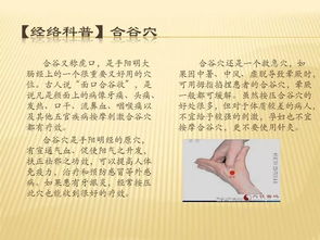 中醫(yī)通經(jīng)絡(luò)的基礎(chǔ)知識