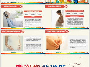 婦科基礎(chǔ)知識(shí)宣教課件