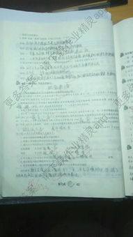 語文s版六級上冊基礎(chǔ)知識總會