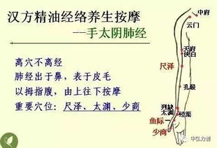 中醫(yī)基礎(chǔ)常見知識(shí)