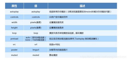 html基本基礎(chǔ)知識