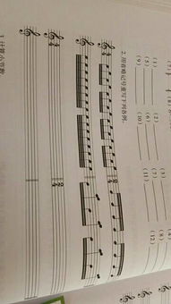 樂理基礎知識符號記號,樂理基礎知識延長記號,樂理省略記號怎么寫