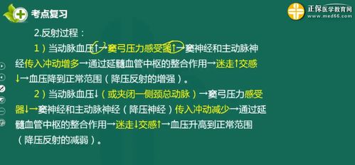 心腦血管基礎(chǔ)知識問答