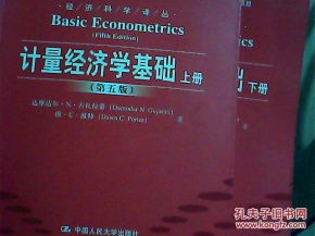 計(jì)量,經(jīng)濟(jì)學(xué),基礎(chǔ),知識(shí)
