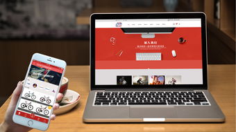 山東聯(lián)通公共基礎(chǔ)知識