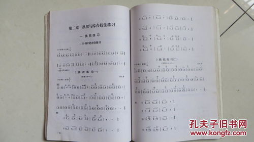 二胡曲基礎(chǔ)入門(mén)知識(shí)