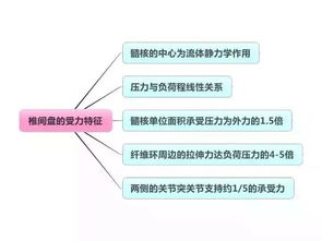 康復(fù)醫(yī)療基礎(chǔ)知識(shí)